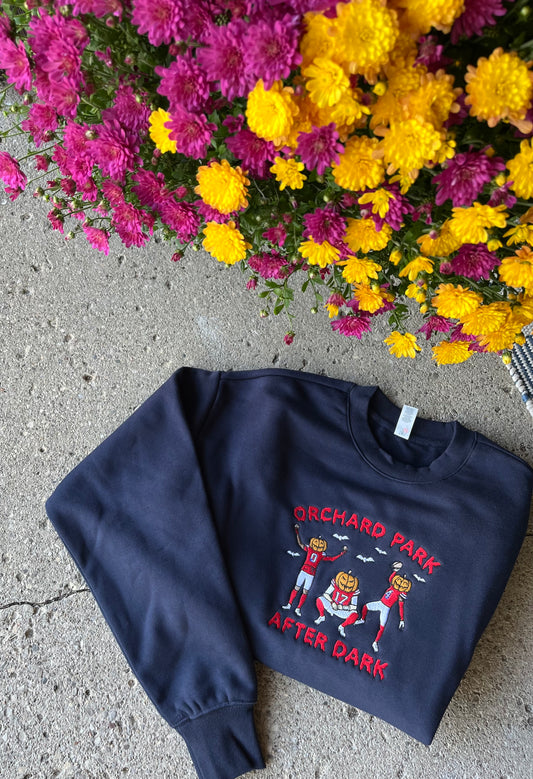 Orchard Park After Dark